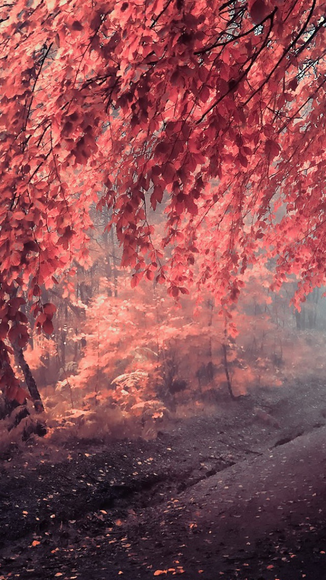Art Autumn Season screenshot #1 640x1136