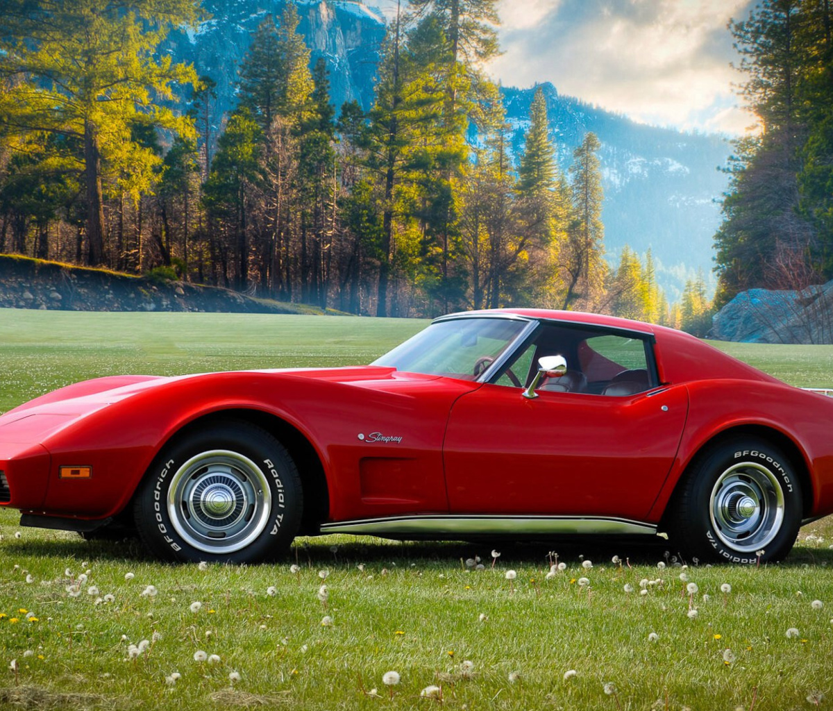 Обои Classic Corvette C3 1977 1200x1024