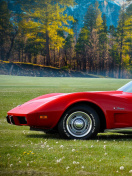 Обои Classic Corvette C3 1977 132x176