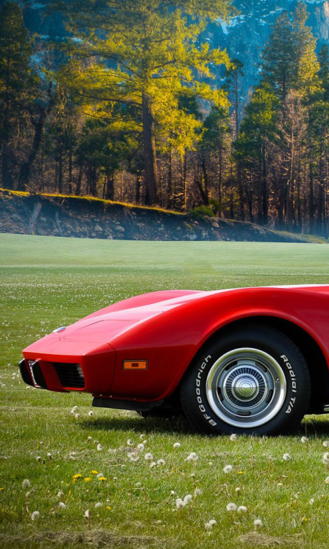 Fondo de pantalla Classic Corvette C3 1977 480x800