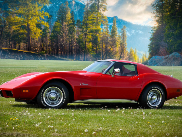 Обои Classic Corvette C3 1977 640x480