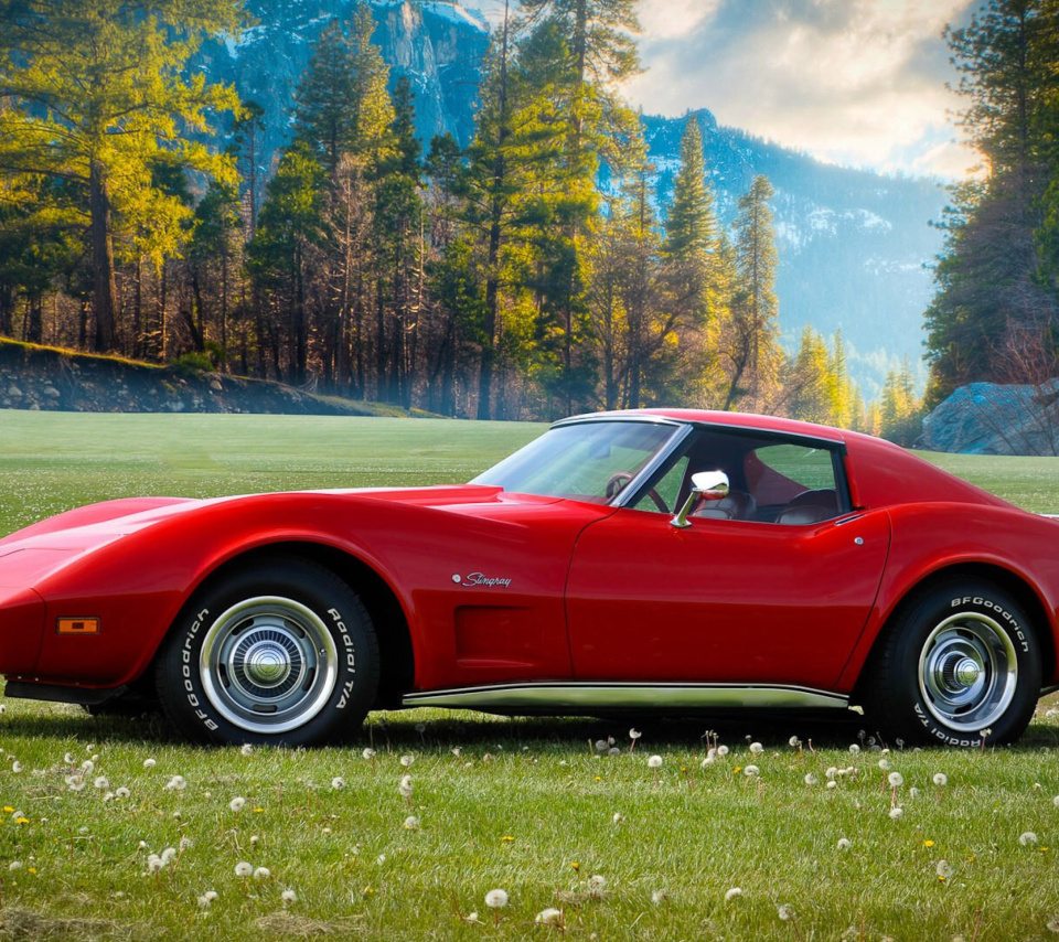 Обои Classic Corvette C3 1977 960x854