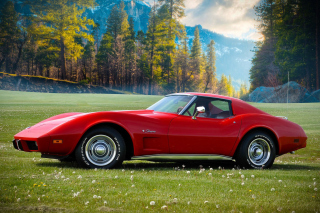 Classic Corvette C3 1977 - Obrázkek zdarma pro HTC Desire