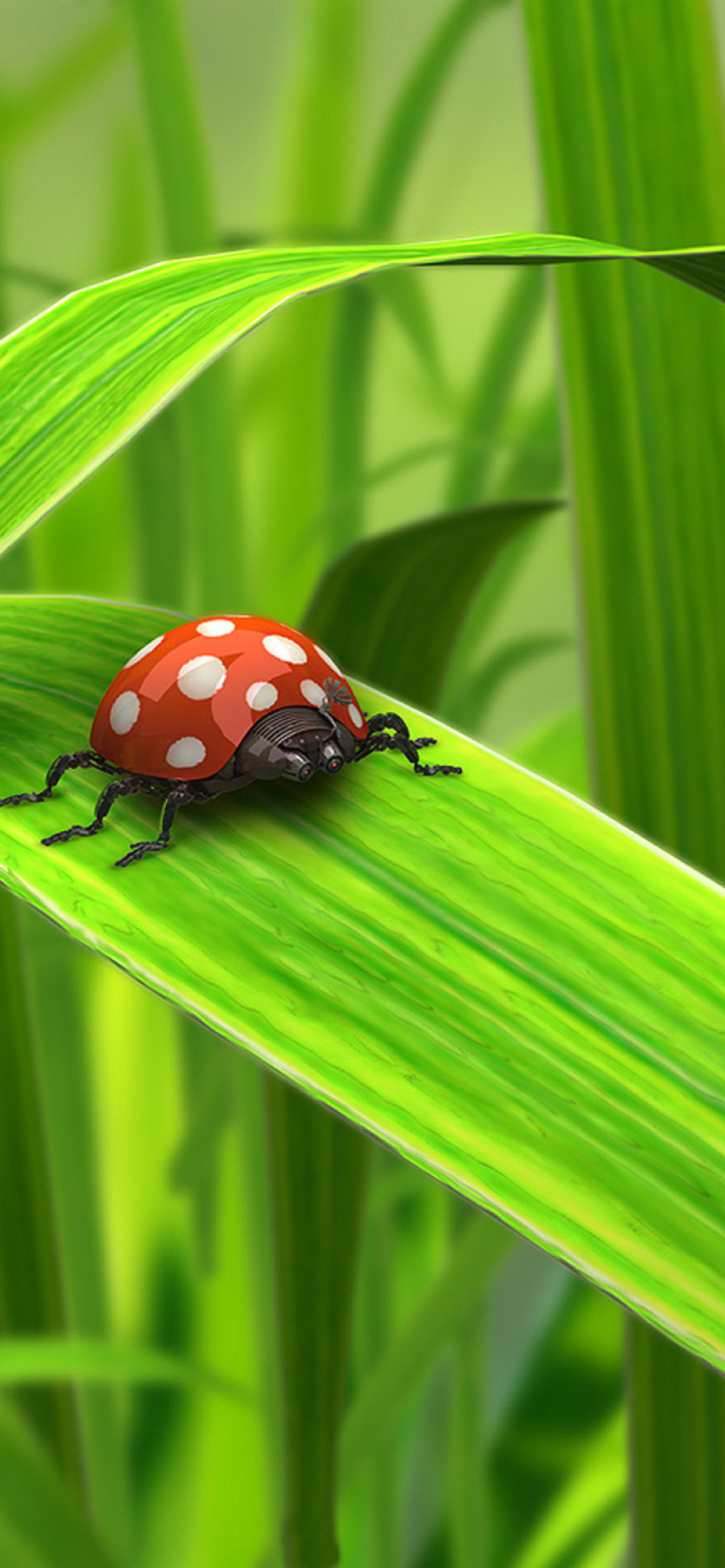 Das Red Ladybug On Green Grass Wallpaper 1170x2532