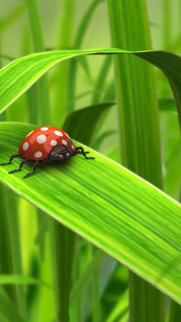 Обои Red Ladybug On Green Grass 360x640