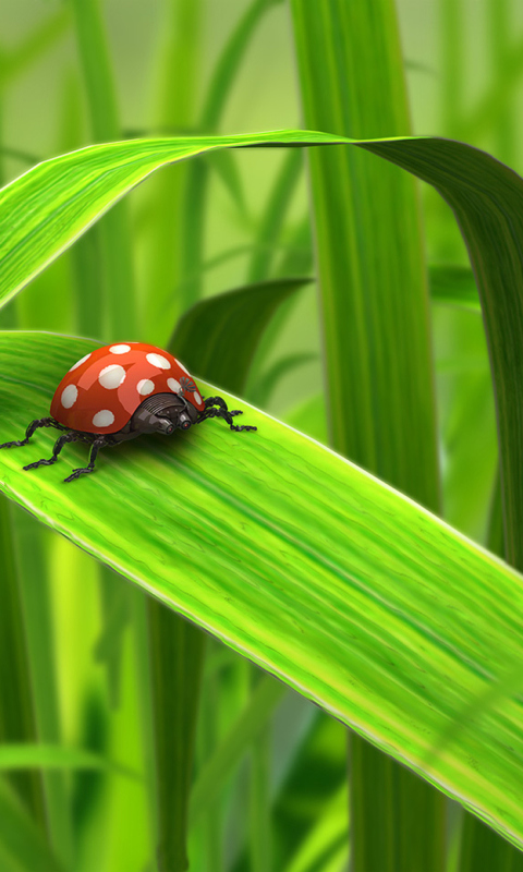 Обои Red Ladybug On Green Grass 480x800