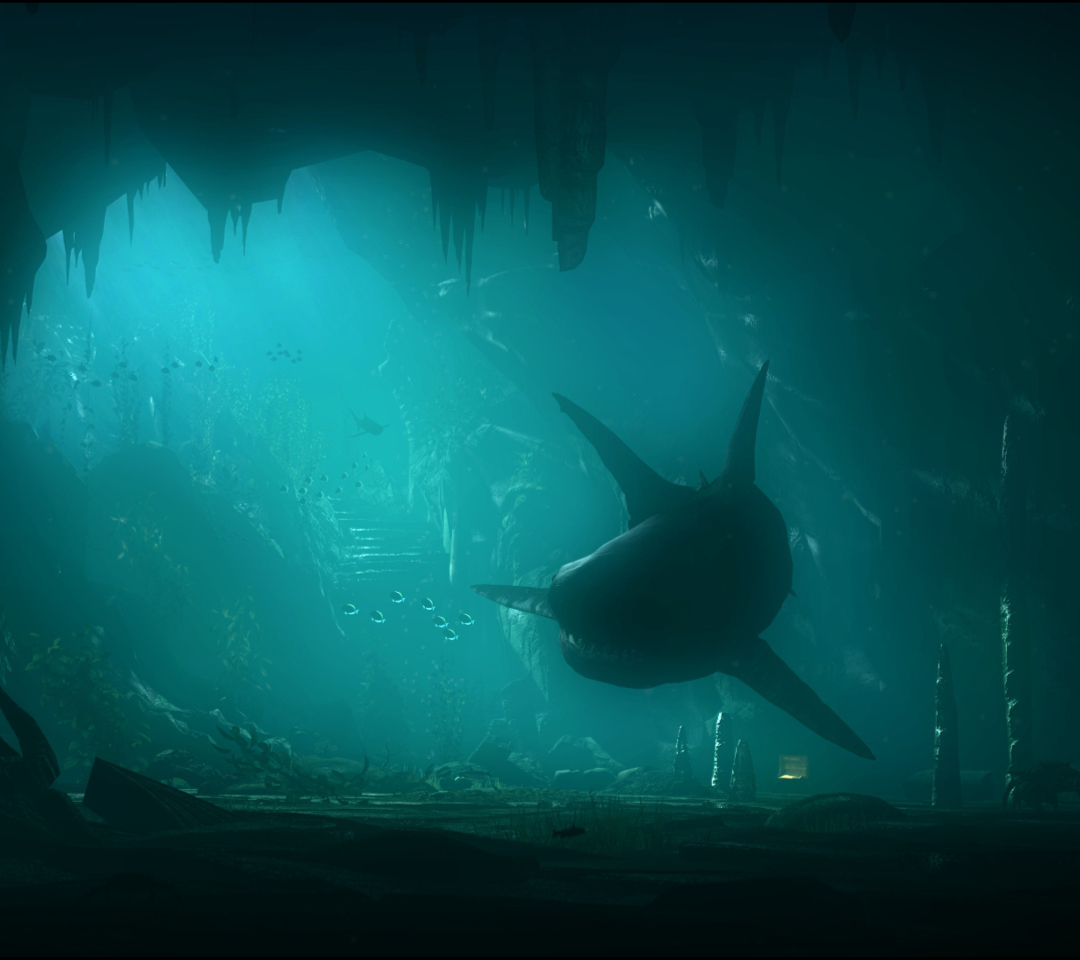 Shark Underwater wallpaper 1080x960