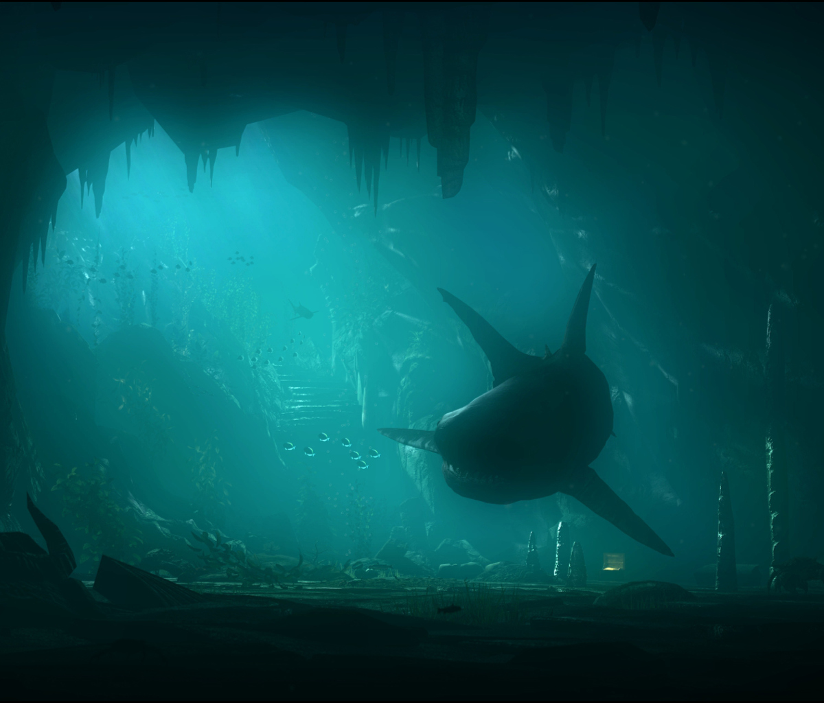 Fondo de pantalla Shark Underwater 1200x1024
