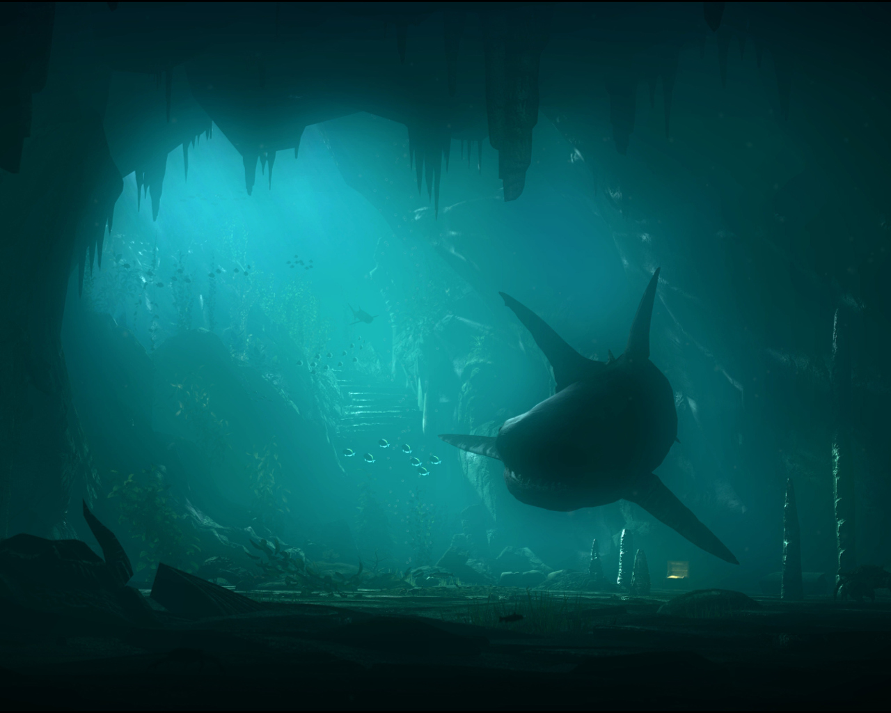 Shark Underwater wallpaper 1280x1024