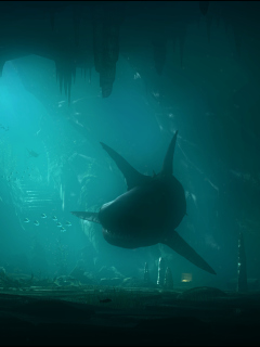 Fondo de pantalla Shark Underwater 240x320