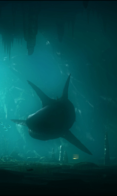 Обои Shark Underwater 240x400