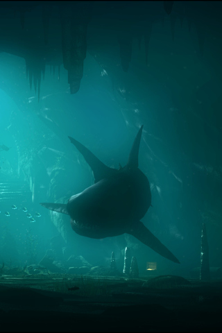 Fondo de pantalla Shark Underwater 320x480