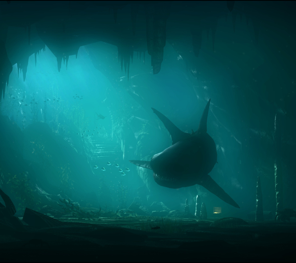 Shark Underwater wallpaper 960x854