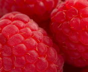 Das Raspberry Macro Wallpaper 176x144