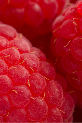 Raspberry Macro wallpaper 320x480