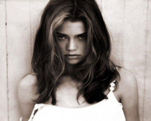 Fondo de pantalla Denise Richards 220x176