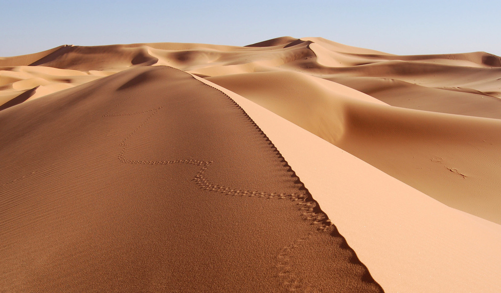 Screenshot №1 pro téma Desert Dunes In Angola And Namibia 1024x600