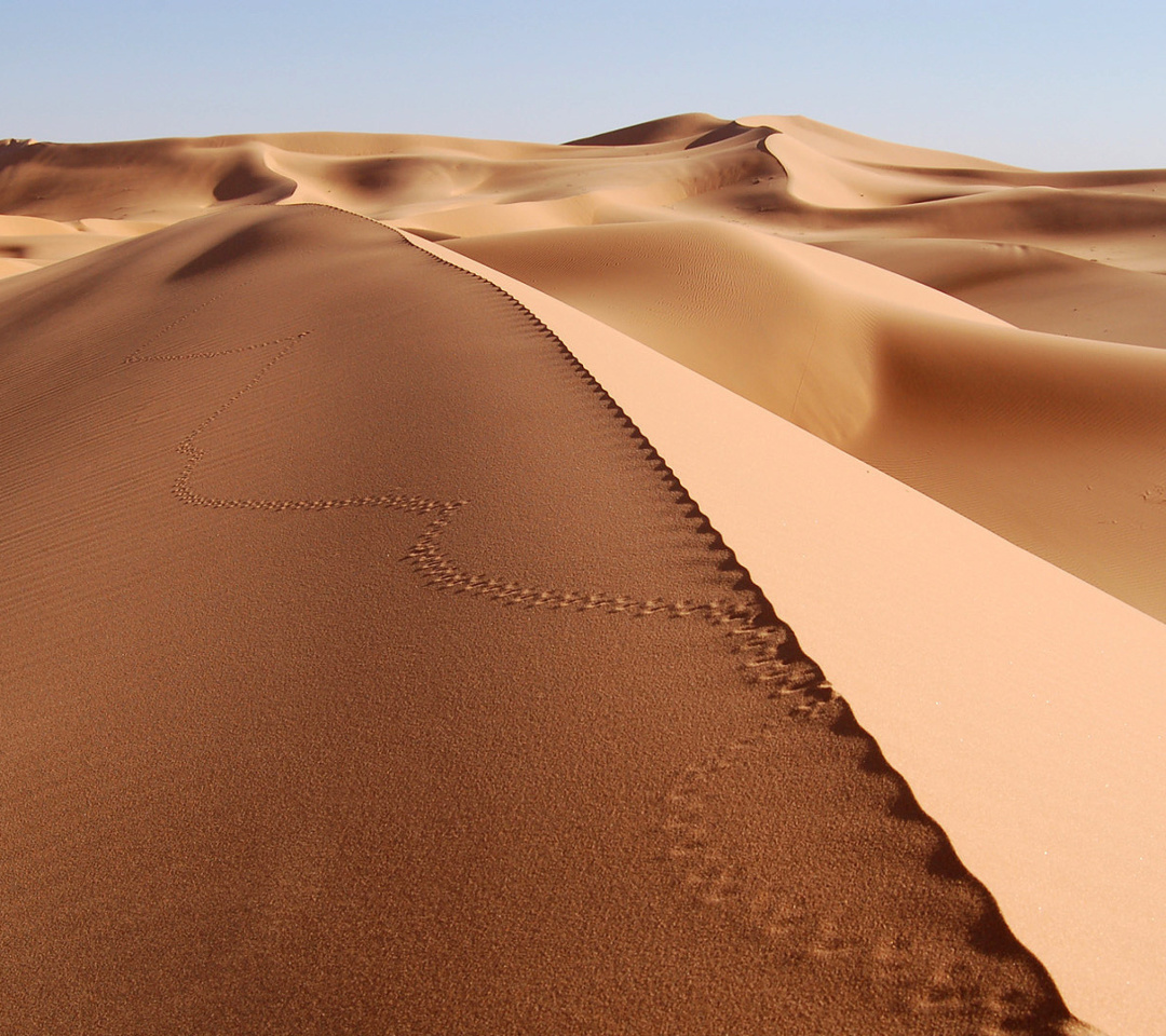 Screenshot №1 pro téma Desert Dunes In Angola And Namibia 1080x960