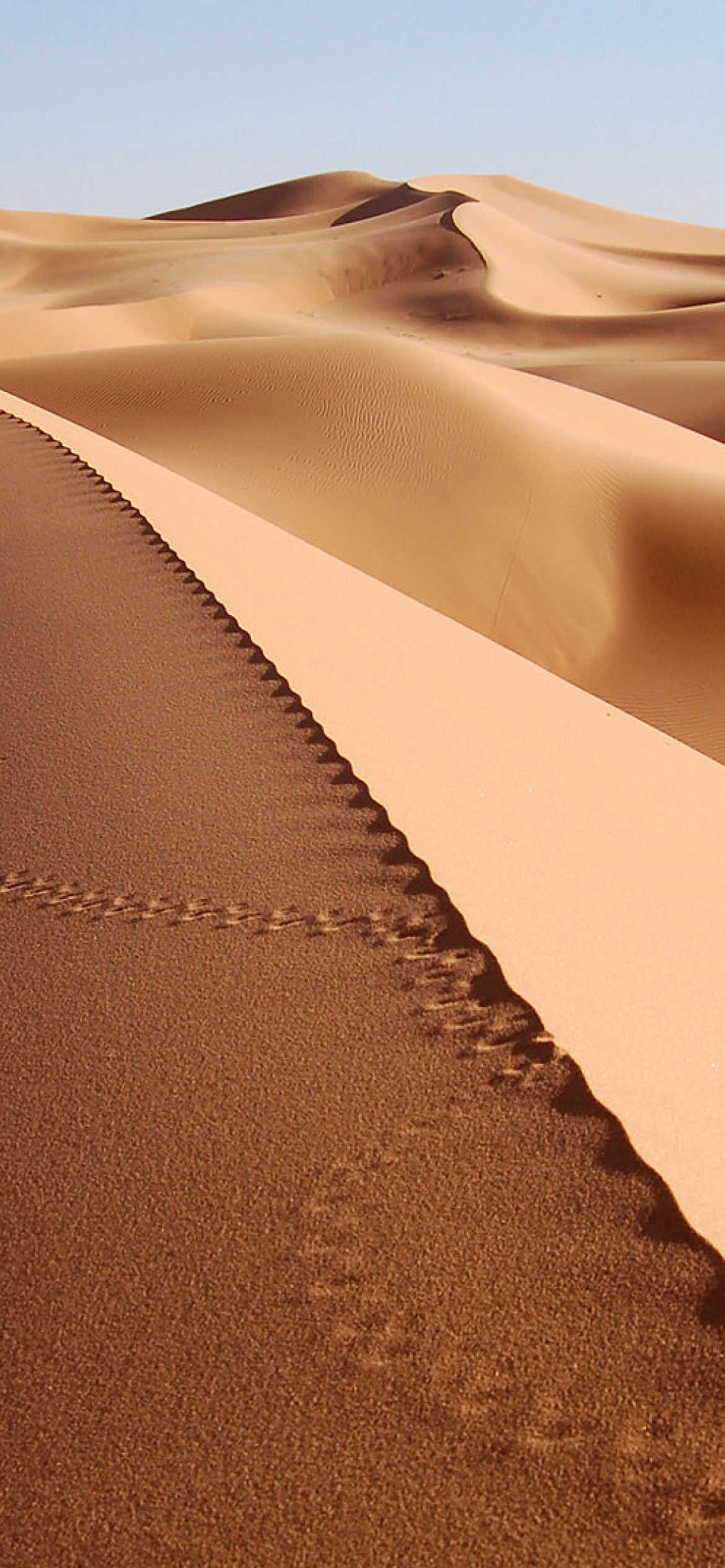Desert Dunes In Angola And Namibia screenshot #1 1170x2532