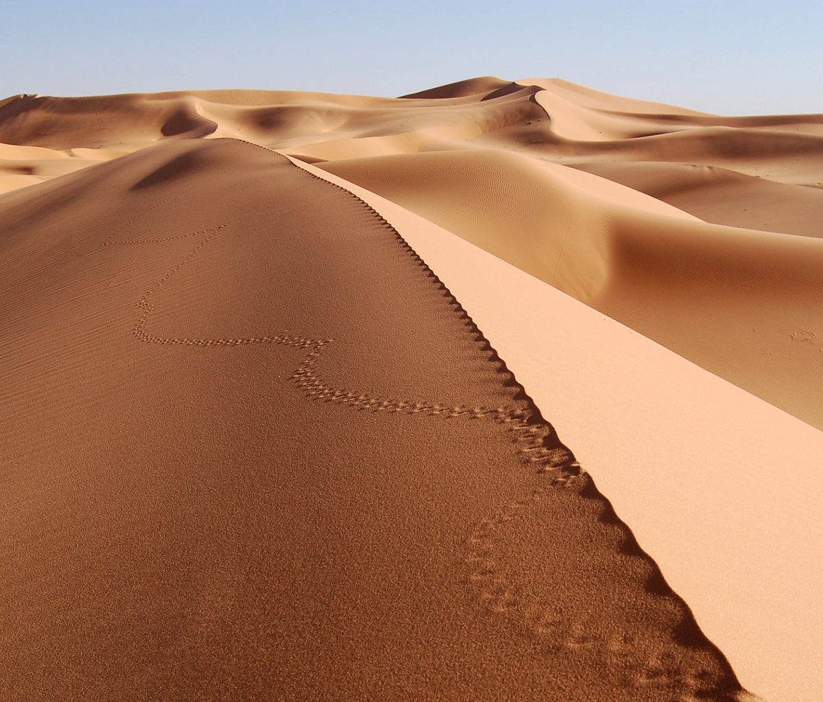 Das Desert Dunes In Angola And Namibia Wallpaper 1200x1024