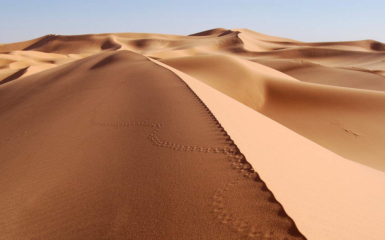 Desert Dunes In Angola And Namibia screenshot #1 1280x800
