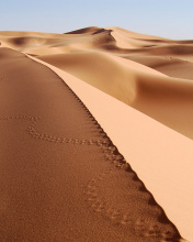 Sfondi Desert Dunes In Angola And Namibia 176x220