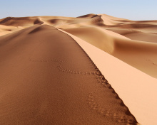 Screenshot №1 pro téma Desert Dunes In Angola And Namibia 220x176