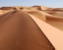 Desert Dunes In Angola And Namibia wallpaper 220x176