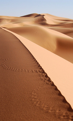 Desert Dunes In Angola And Namibia wallpaper 240x400