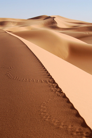 Fondo de pantalla Desert Dunes In Angola And Namibia 320x480