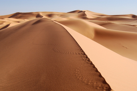 Das Desert Dunes In Angola And Namibia Wallpaper 480x320