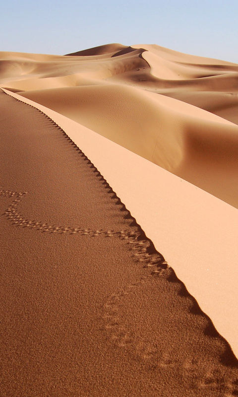 Desert Dunes In Angola And Namibia wallpaper 480x800