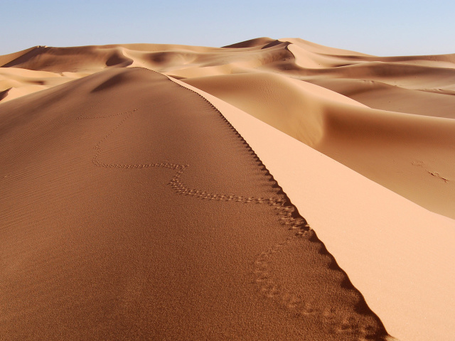 Desert Dunes In Angola And Namibia wallpaper 640x480