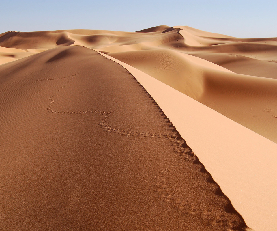 Screenshot №1 pro téma Desert Dunes In Angola And Namibia 960x800