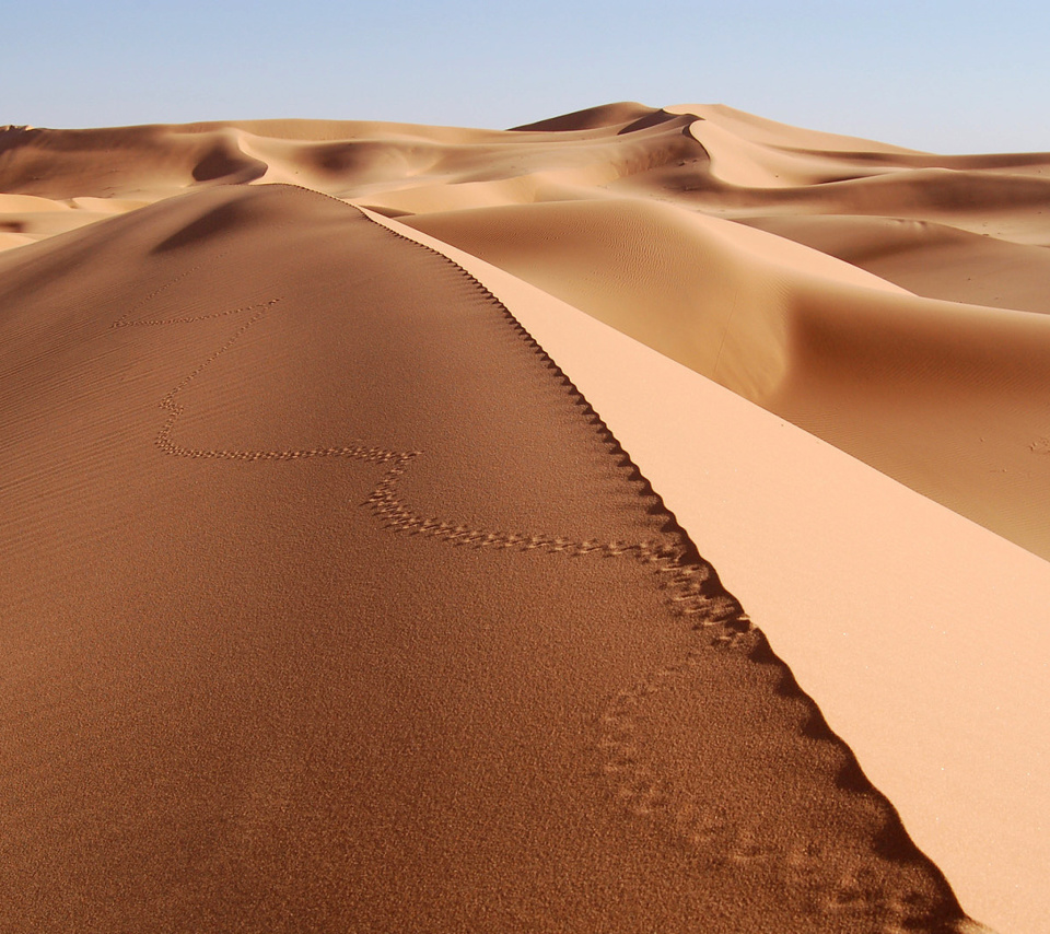 Desert Dunes In Angola And Namibia wallpaper 960x854