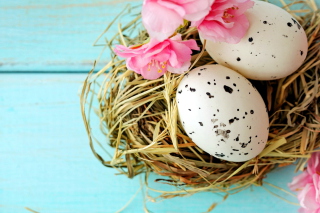 Creative Spring Easter Eggs - Obrázkek zdarma 
