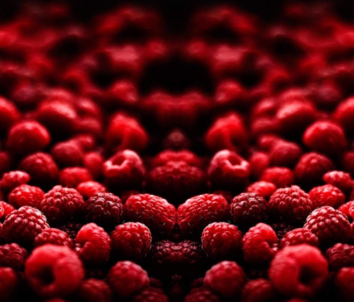 Das Raspberries Wallpaper 1200x1024