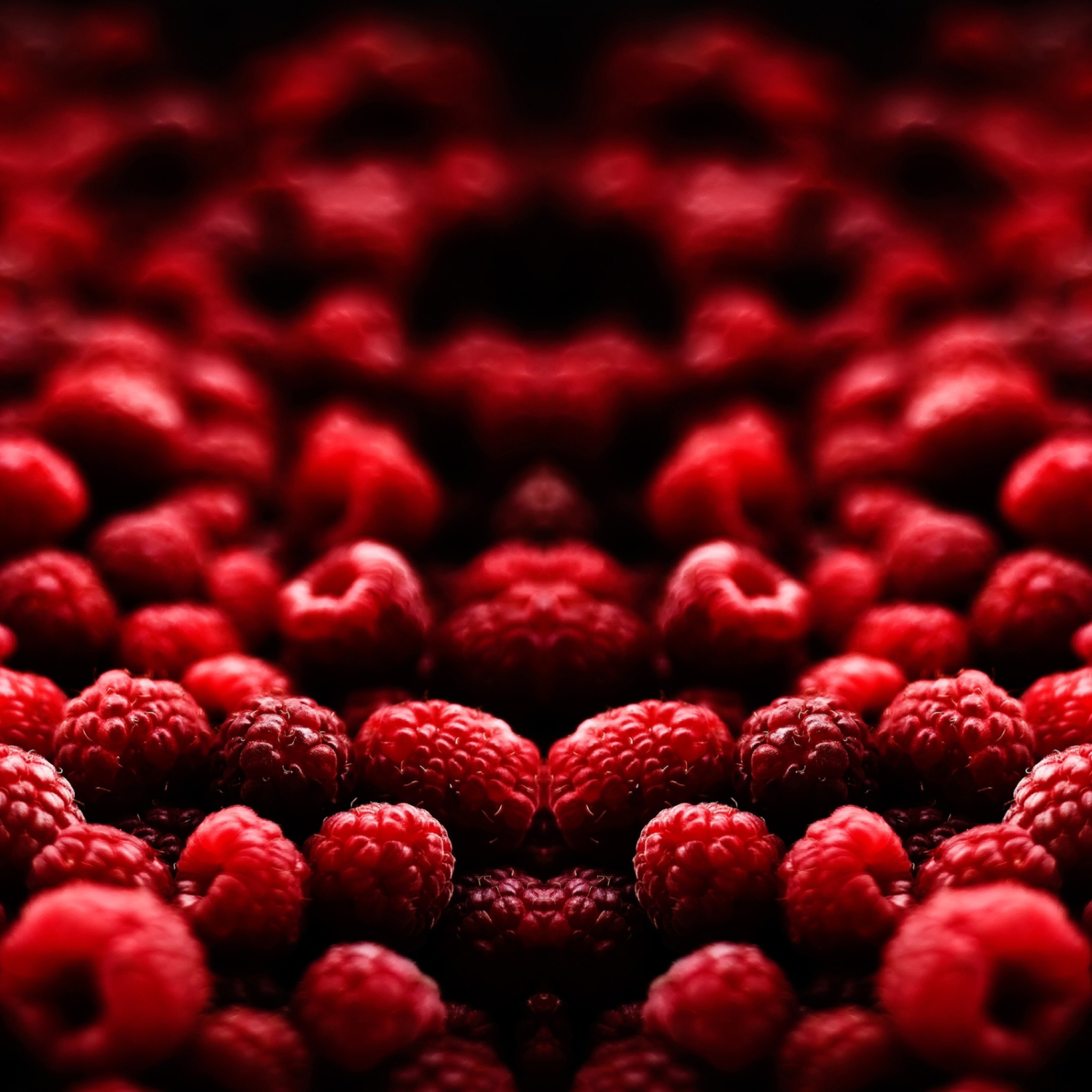 Das Raspberries Wallpaper 2048x2048