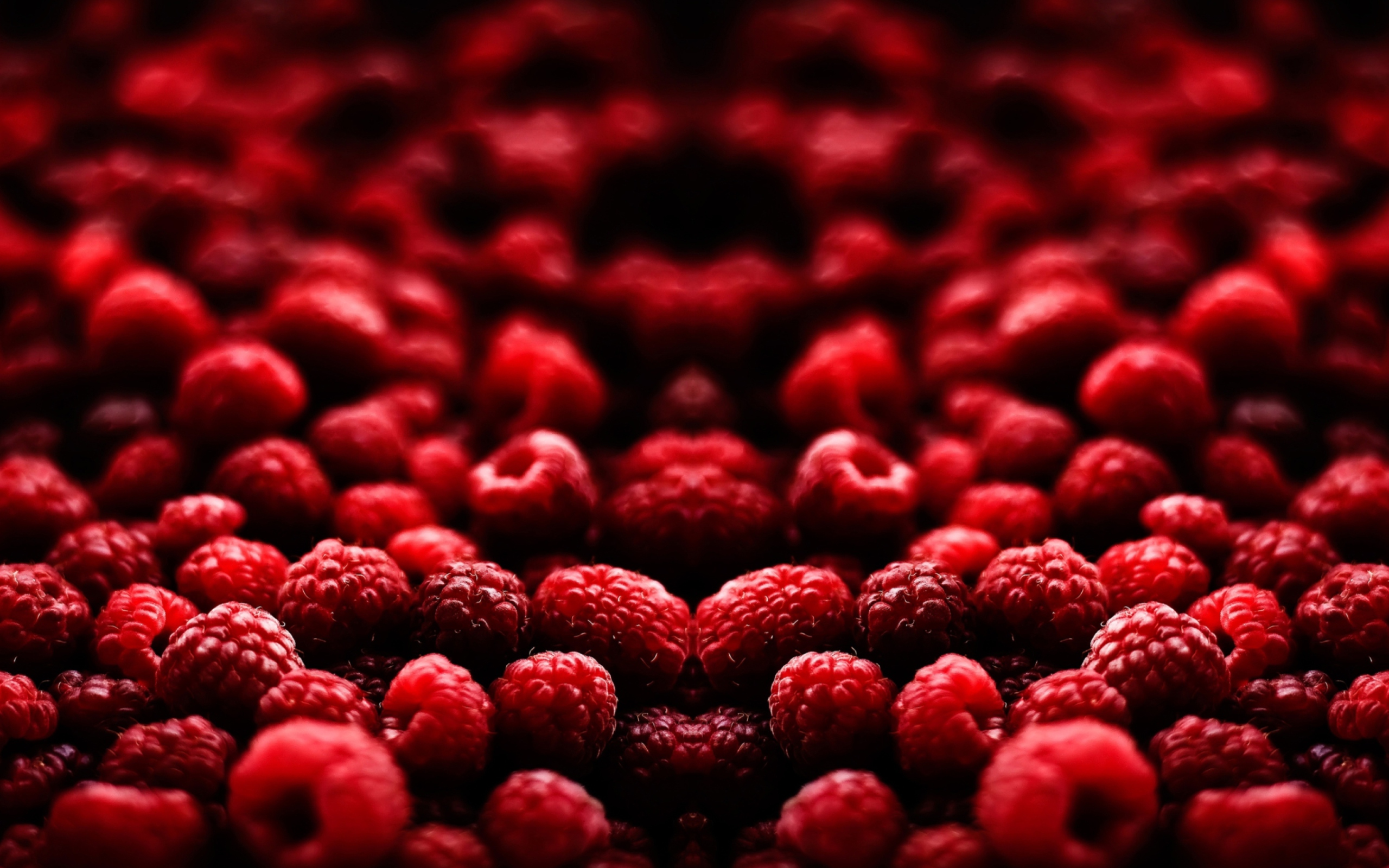 Fondo de pantalla Raspberries 2560x1600