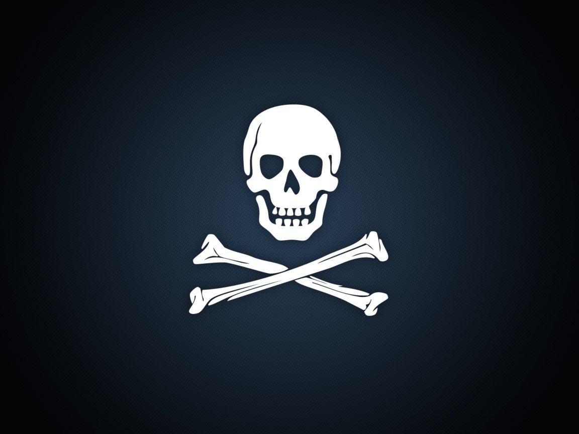 Обои Cyber Pirate Skull 1152x864