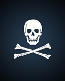 Fondo de pantalla Cyber Pirate Skull 128x160