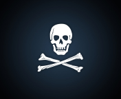 Fondo de pantalla Cyber Pirate Skull 176x144