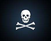 Cyber Pirate Skull wallpaper 176x144