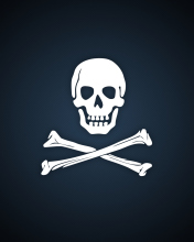 Обои Cyber Pirate Skull 176x220