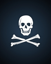 Screenshot №1 pro téma Cyber Pirate Skull 176x220