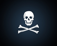 Das Cyber Pirate Skull Wallpaper 220x176