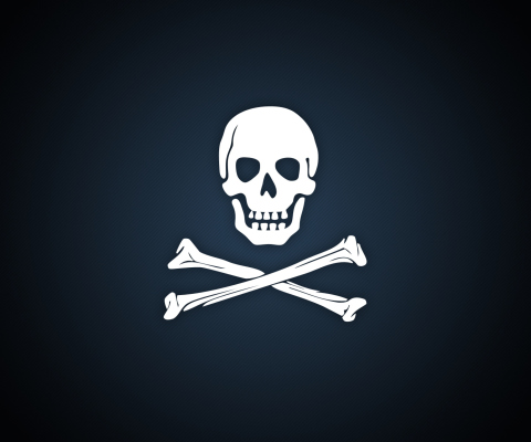 Cyber Pirate Skull wallpaper 480x400