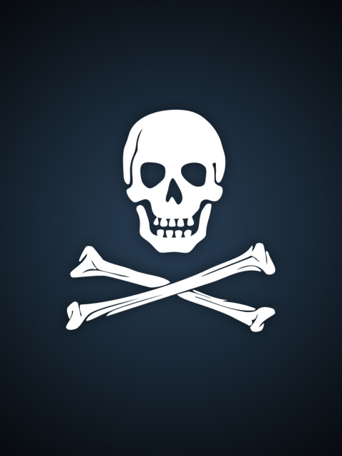 Обои Cyber Pirate Skull 480x640