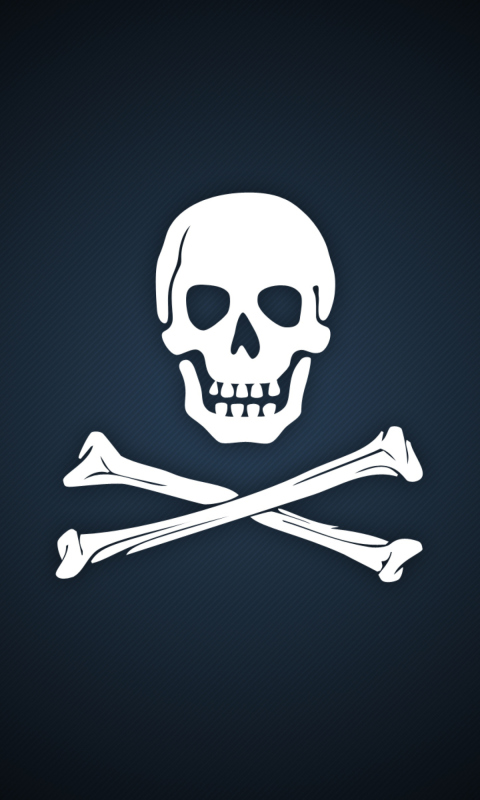 Fondo de pantalla Cyber Pirate Skull 480x800