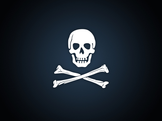 Cyber Pirate Skull wallpaper 640x480
